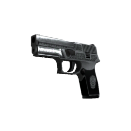 P250 | Cartel