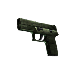 P250 | Iron Clad