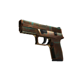 P250 | Verdigris